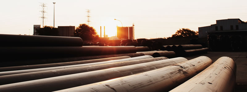 PEXMART Plant